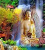 Làm sao tìm thấy Phật ?