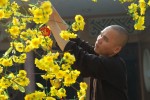 Xuân về bên cành vô ưu