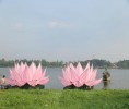 Huế: Hạ thủy 7 hoa sen tôn trí trên sông Hương