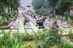 Hà Nội: Hơn 150 bạn trẻ về tham dự khóa tu thiền trà 'Về để lắng nghe'